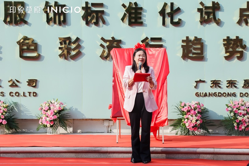 大朗镇张敏莉副镇长